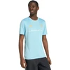 Vyriški marškinėliai adidas Argentina 26 Jersey melsva KH2304 (L)