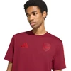 Vyriški marškinėliai adidas Arsenal FC DNA bordinė KG5140 (2XL)