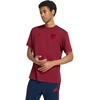 Vyriški marškinėliai adidas Arsenal FC DNA bordinė KG5140 (2XL)