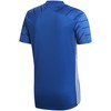 Vyriškas „Adidas Campeon 21“ džersio mėlynas FT6762 (XS)