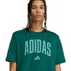 Vyriški marškinėliai adidas Collegiate Lineage Graphic žalia KA7135 (M)