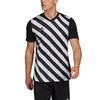 adidas Entrada 22 Grafinis Džersis M HF0126