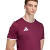 Vyriški marškinėliai adidas Entrada 26 Jersey bordinė JZ2507 (S)