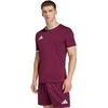Vyriški marškinėliai adidas Entrada 26 Jersey bordinė JZ2507 (S)