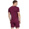 Vyriški marškinėliai adidas Entrada 26 Jersey bordinė JZ2507 (S)