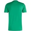 Vyriški marškinėliai adidas Entrada 26 Jersey žalia JZ2503 (M)