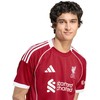 adidas Liverpool FC Namų marškinėliai JV6423