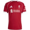 adidas Liverpool FC Namų marškinėliai JV6423