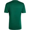 Vyriški marškinėliai adidas Mexico 26 Jersey žalia KH2301 (2XL)