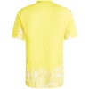 Vyriški marškinėliai adidas Tiro 26 Competition Goalkeeper Jersey geltona KC5354 (L)