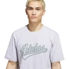 Vyriški marškinėliai adidas Varsity Tailsweep Graphic pilka KS2179 (M)