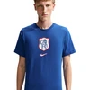 Vyriški marškinėliai Nike Chelsea F.C. mėlyna IQ4996 495 (L)