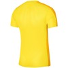 Nike DF Academy 23 SS M DR1336 719 Marškinėliai