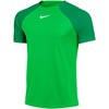 Nike DF Adacemy Pro SS Viršutinė dalis KM DH9225 329