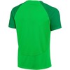 Nike DF Adacemy Pro SS Viršutinė dalis KM DH9225 329