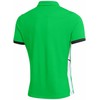 Vyriški marškinėliai Nike Dri-Fit Academy 25 SS Polo žalia FZ9759 329 (L)