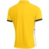 Vyriški marškinėliai Nike Dri-Fit Academy 25 SS Polo geltona FZ9759 719 (S)