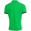 Vyriški marškinėliai Nike Dri-Fit Academy 25 SS Polo žalia FZ9759 329 (L)