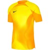 Vyriški marškinėliai Nike Dri-FIT Adv Gardien IV GK Jsyss geltona DH7760 719 (M)