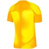 Vyriški marškinėliai Nike Dri-FIT Adv Gardien IV GK Jsyss geltona DH7760 719 (M)