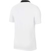 Nike Park 20 M Marškinėliai CW6933 100