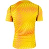 Vyriški marškinėliai Nike Dri_Fit Gardien VI Goalkeeper geltona HV8301 718 (M)
