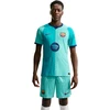 Vyriški marškinėliai Nike FC Barcelona Match 2026/27 II6639 301 (M)