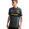 Vyriški marškinėliai Nike Inter Mediolan Match 2026/27 pilka II6640 069 (XL)
