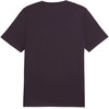 Marškinėliai Puma Essential Logo Tee M 586667 18
