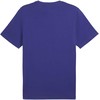 Marškinėliai Puma Essential Logo Tee M 586667 26