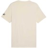 Puma Sport Graphic Tee M 684617 87