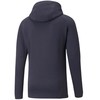 Puma TeamFinal Casuals M Hooded 65738306 džemperis