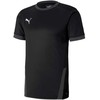 Puma teamGOAL 23 marškinėliai M 704171 03