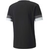 Puma teamRISE marškinėliai M 704932 03