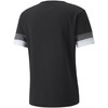 Puma teamRISE marškinėliai M 704932 03