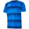 Puma teamVision marškinėliai M 704921 02