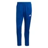 Sportinės kelnės vyrams Adidas Tiro 21 Training M GJ9870, mėlynos