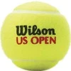 WILSON US OPEN teniso kamuoliukai (3)