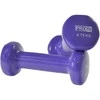 Vinilo Hanteliai Profit Violetinis 2x0,75kg DK 4102