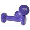 Vinilo Hanteliai Profit Violetinis 2x0,75kg DK 4102