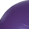 Kamuolys gimnastyczna Profit 65 cm violetinė su pompką DK 2102