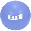 Gimnastikos Kamuolys Profit 65 cm Su Pompa DK 2102