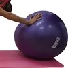 Kamuolys gimnastyczna Profit 75 cm violetinė su pompką DK 2102