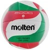 Molten Tinklinio kamuolys training V5M2000L sint. oda palengv