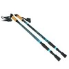 Šiaurietiškos Ėjimo Lazdos Nordic Walking Scout Bjorn