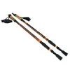 Šiaurietiško ėjimo lazdos Nordic Walking Scout Bjorn oranžinės 3 dalių