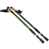 Lazdos NORDIC WALKING SCOUT BJORN žalios