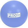Gimnastikos Kamuolys PROFIT 75cm su Pompa