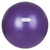 Kamuolys gimnastyczna Profit 55 cm violetinė su pompką DK 2102