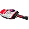 raketė ir stalo tenisas Butterfly Zhang Jike